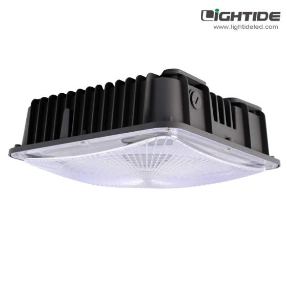 LED Garage & Canopy Light