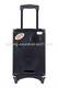 Sell Portable Battery Powered Active Speaker with USB SD FM for Stage Show Party