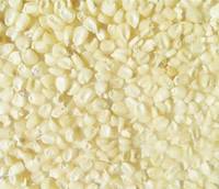 Sell White Corn/White Maize