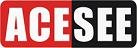 ACESEE Security Limited Company Logo