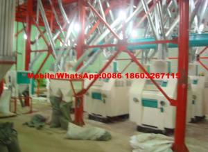 Wholesale wheat mill: Grain Processing Mahcine for Wheat Flour Milling