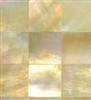 Shell Tile
