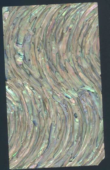 Shell Paper