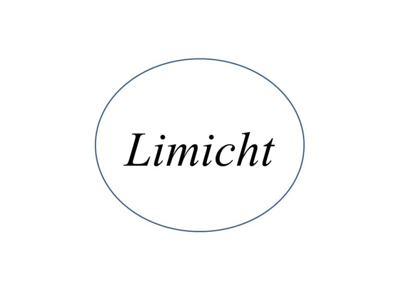 Limicht Co., Ltd Company Logo