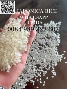 Wholesale export: Japonica Rice Carlose Rice  Medium Rice Camolino Riz Arroz Export Best Price