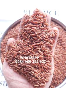 Wholesale import export service: BLACK RICE - RED RICE- BROWN RICE- Purple Rice HEALTHY