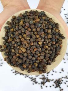 Wholesale dried chili: Black Pepper 500 G/L Faq - Cleaned Bulk From Vietnam- Whatsap 0084 989 322 607