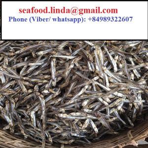 Wholesale whole body scan: Dry Seafood- Dried Fish Anchovy From Vietnam Cheap Price- Seafood(Dot)Linda(At)Gmail(Dot)Com
