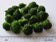 Sell frozen foods frozen vegetables frozen fruits  frozen broccoli