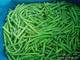 Sell frozen foods frozen  vegetables frozen green beans