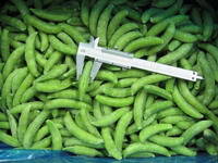 Sell frozen foods frozen vegetables frozen  sugar snap peas