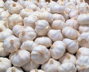 Wholesale vietnam: Whole White Garlic, Fresh Vietnam Garlic in Bulk.