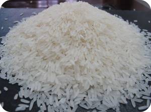Wholesale small grain rice: White Long Grain Rice Max 5%