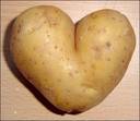 Sell 200G Holland Potato Low Price