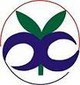 Xinyan Technology Ltd. Company Logo