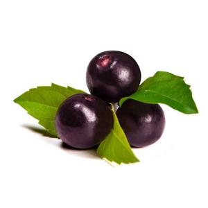 Wholesale acai berry powder: Acaiberry Extract Euterpe Oleracea