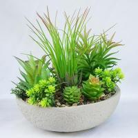 Sell Artificial Green Succulent Plant