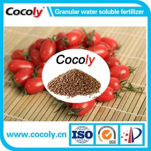 Wholesale water soluble fertilizer: Cocoly Complete Nutritional Water Soluble Fertilizer in Granular Shape