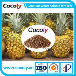 Wholesale water soluble fertilizer: Cocoly Brown Granular Fertilizer 100 Water Soluble