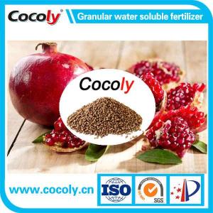 Wholesale Other Fertilizer: Cocoly High Quality Granular Water-Soluble Fertilizer for Fruit Tree Foliar Fertilizer