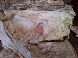Dry Salted Donkey Hides / Wet Salted Donkey Hides