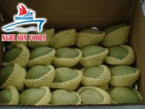 Wholesale Mango: Fresh Mango High Quality with Lowest Price