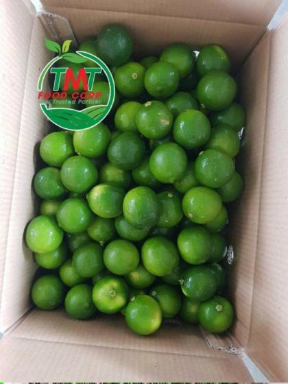 Best Sour Taste Seedless Lime Originating From Vietnam(id:10924397 ...