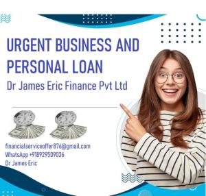 Wholesale loan needed: Business Service