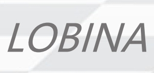 Lobina Auto Parts Co., Ltd. Company Logo
