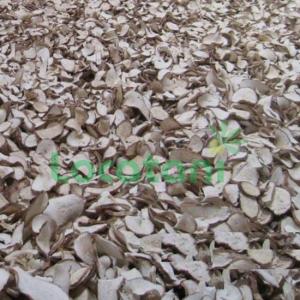 Wholesale logs: Dried Cassava Chips