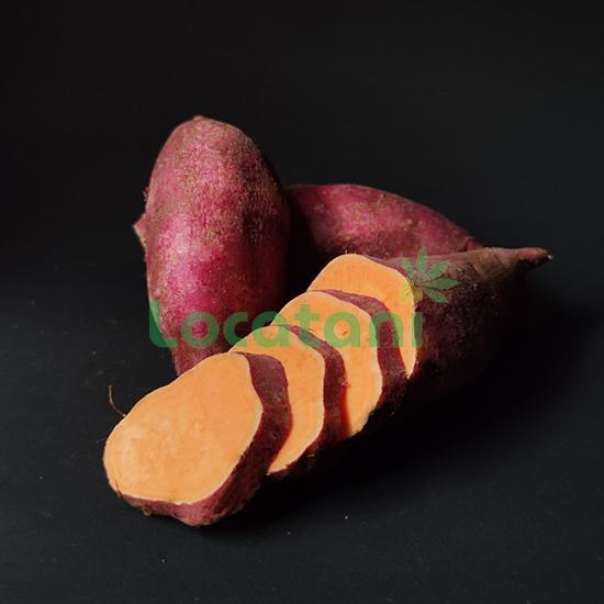 Orange Sweet Potato(id:11586305) Product details - View Orange Sweet ...