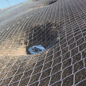 Wholesale Iron Wire Mesh: Slope Protection Mesh Tecco Wire Mesh