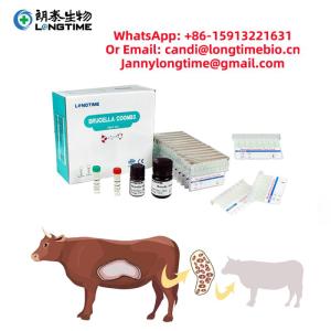 Wholesale biomedical: Hot Sale One Step Brucella Test Rapid Brucellosis AB Test Kit for Sheep