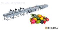 Fruit And Vegetable Cleaning Machine
