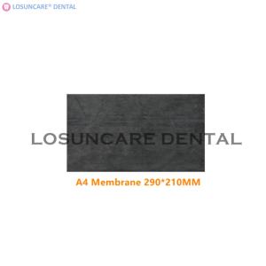 Wholesale Dental Unit: Dental Chair Unit Membrane Diaphragm Patch for Dental Valve Dental Unit Valve Patch Parts Diaphragm