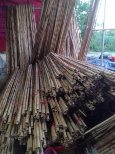 Wholesale garden decoration: Bamboo Poles Agriculture Bamboo Sticks Dry Bamboo Poles Export for Nursery Planting