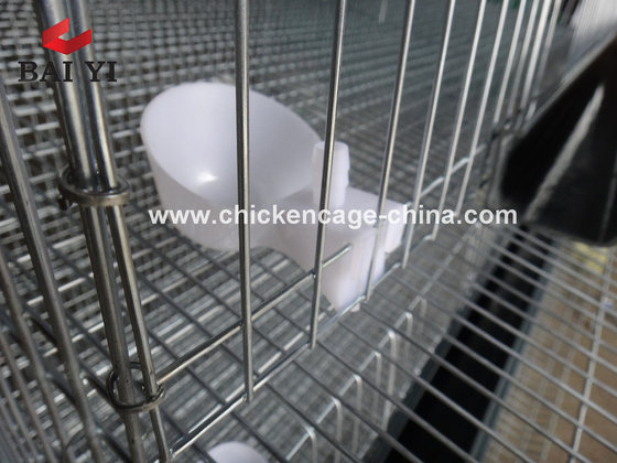 H Type Quail Cage For Saleid10424029 Buy China Quail Cage Quail Cage For Sale Layer Quail Cage Ec21