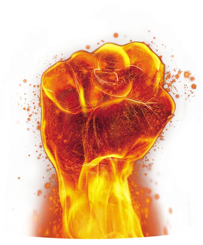 Shandong Fist Fertilizer Co., Ltd.