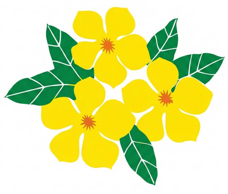 Huu Duc Tay Ninh Co., Ltd