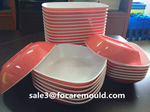 Colored Plate Mould | Two Color Plate Molds