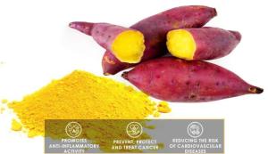 Wholesale natur product: Best Selling Products Natural Organic Freeze-dried Yellow Sweet Potato Powder On Sale
