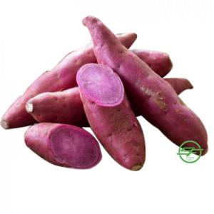 Wholesale sugar: Farm Eco Friendly Purple Fresh Sweet Potatoes