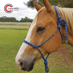 Wholesale polypropylene rope: Knotted Horse Rope Halter