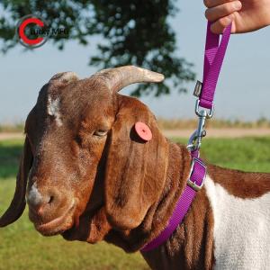 Wholesale goat plate: Nylon Sheep Collar/ Halter/Neck Strap