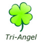 Tri Angel Technology Trading LTD Company Logo