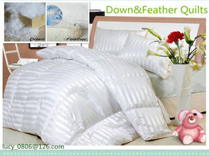 Wholesale down quilt: Duck & Goose Down Quilts / Duvet / Comforter