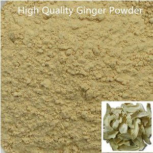 Wholesale ginger powder: Ginger Powder,The Ginger Root Extract,Factory Price