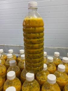 Wholesale food processing line: Cheap Price Passion Fruit Puree with Seeds 1kg Bottles / +84 973 529528