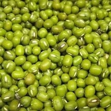 Wholesale beans: Red Lentils, Mug Beans