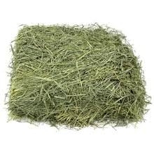 Wholesale alfalfa hay bales: Alfafa Hay, Hay Feed